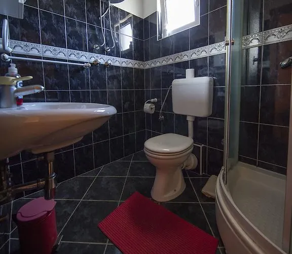 Apartment Dani Grebastica